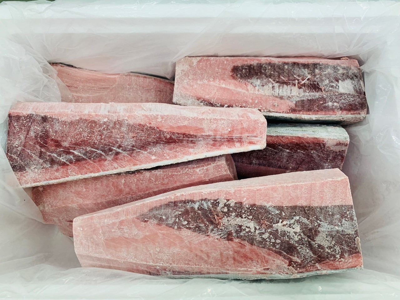 超低溫鮪魚OEM產品(點圖詳閱更多)