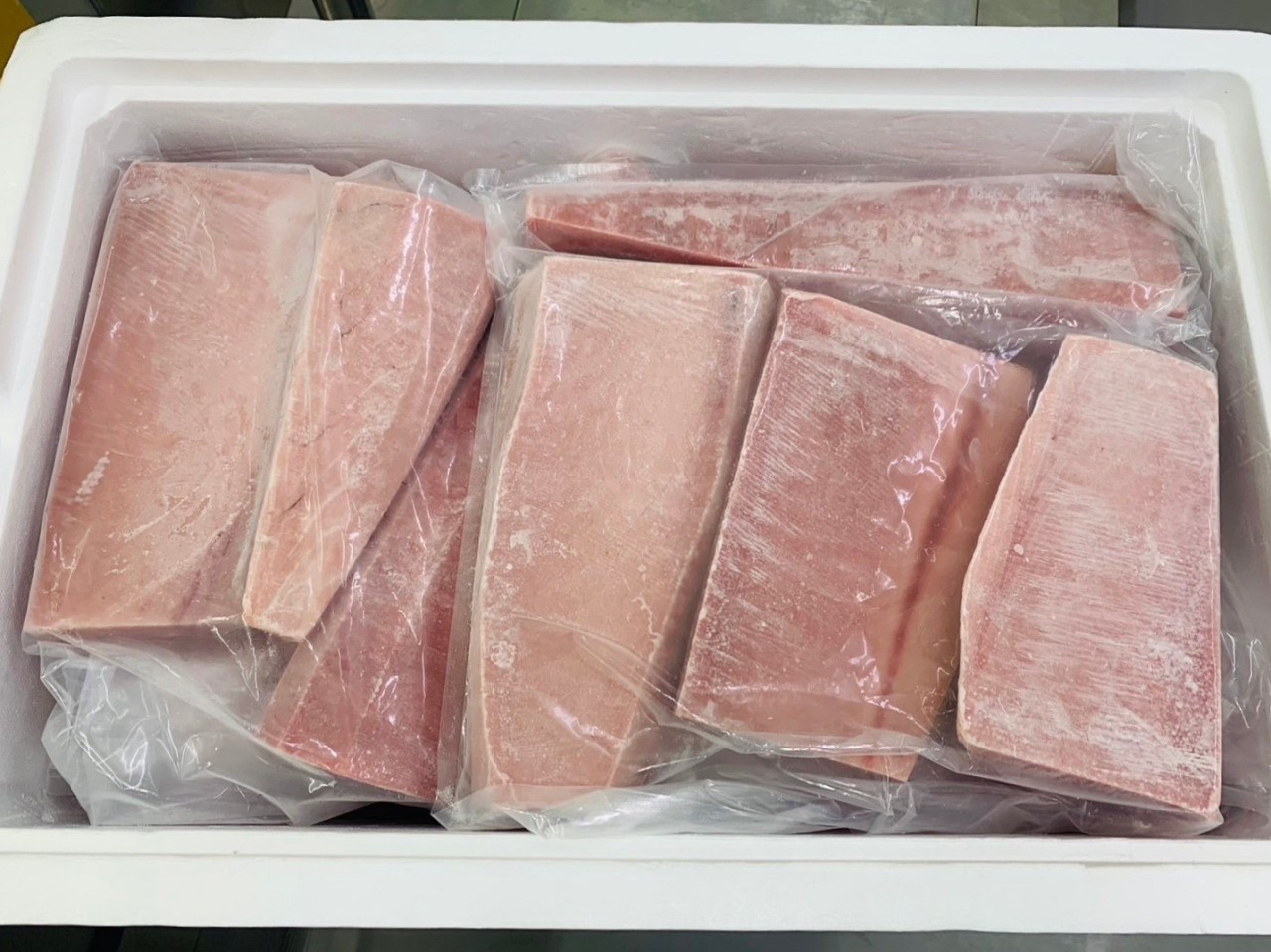 超低溫鮪魚OEM產品(點圖詳閱更多)