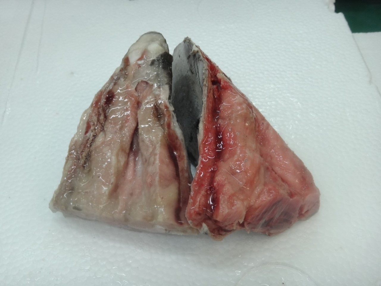 超低溫鮪魚OEM產品(點圖詳閱更多)