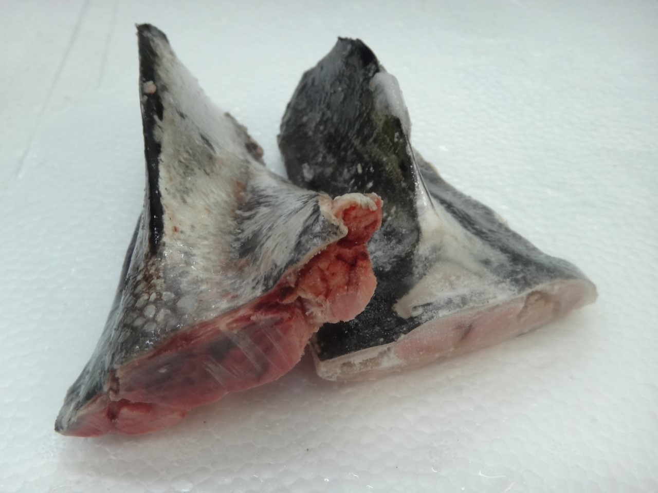 超低溫鮪魚OEM產品(點圖詳閱更多)