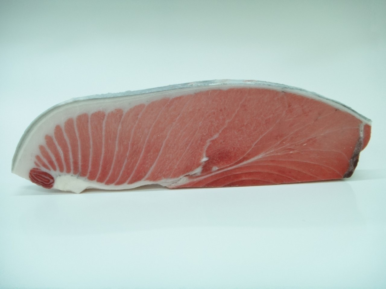 超低溫鮪魚OEM產品