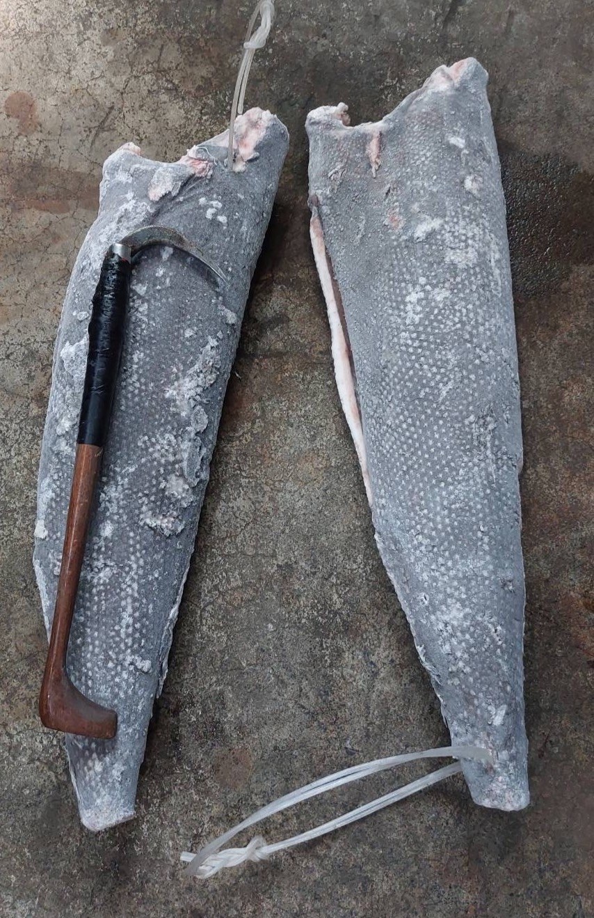 粗鱗油魚(Rough Skin Oilfish)